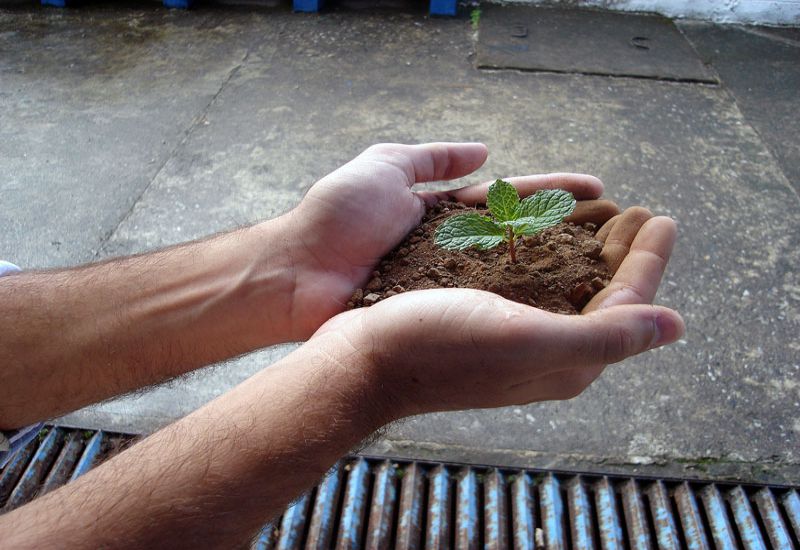 Preservamos a vida, preservamos o planeta